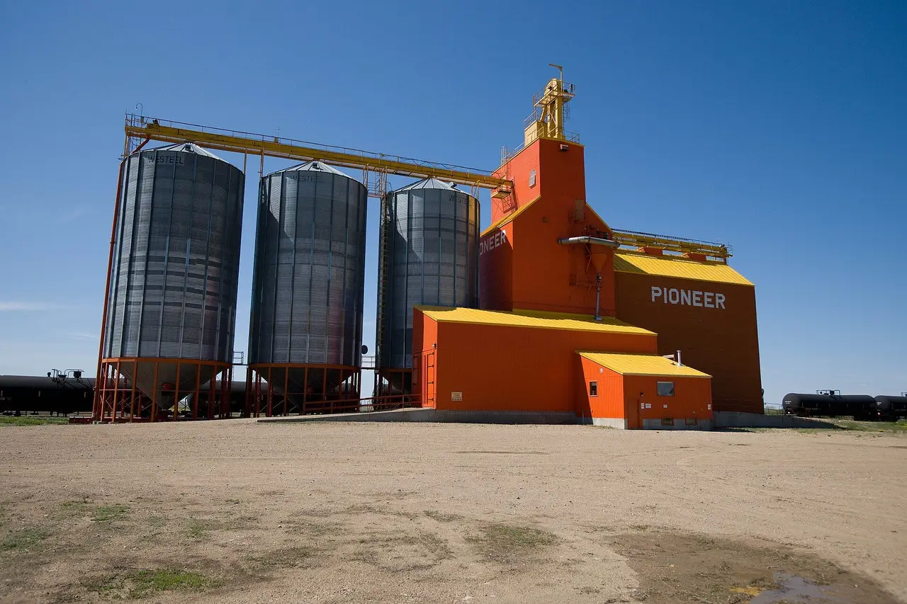 Pioneer grain elevator and steel bins, 2009