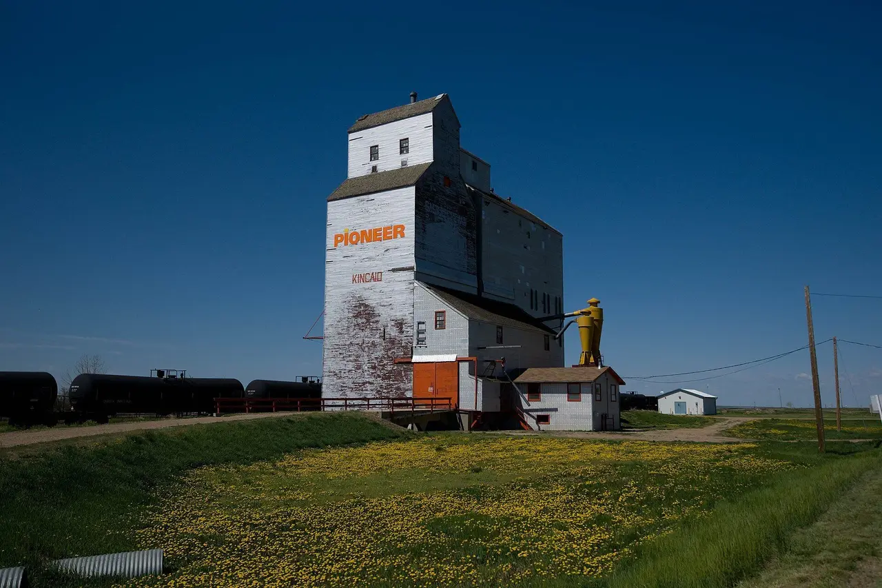 Pioneer grain elevator, 2009